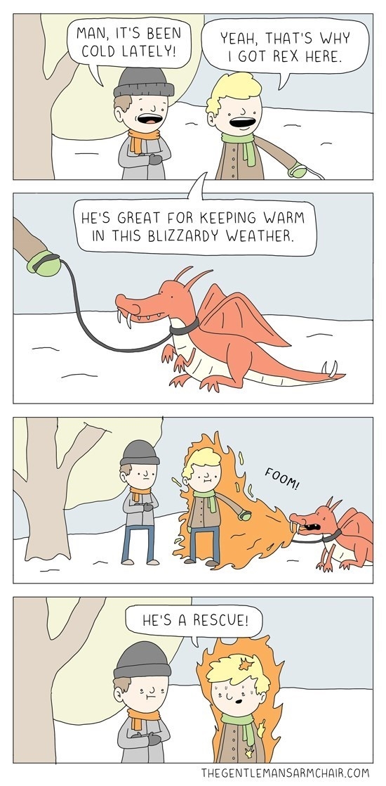 Always choose adoption