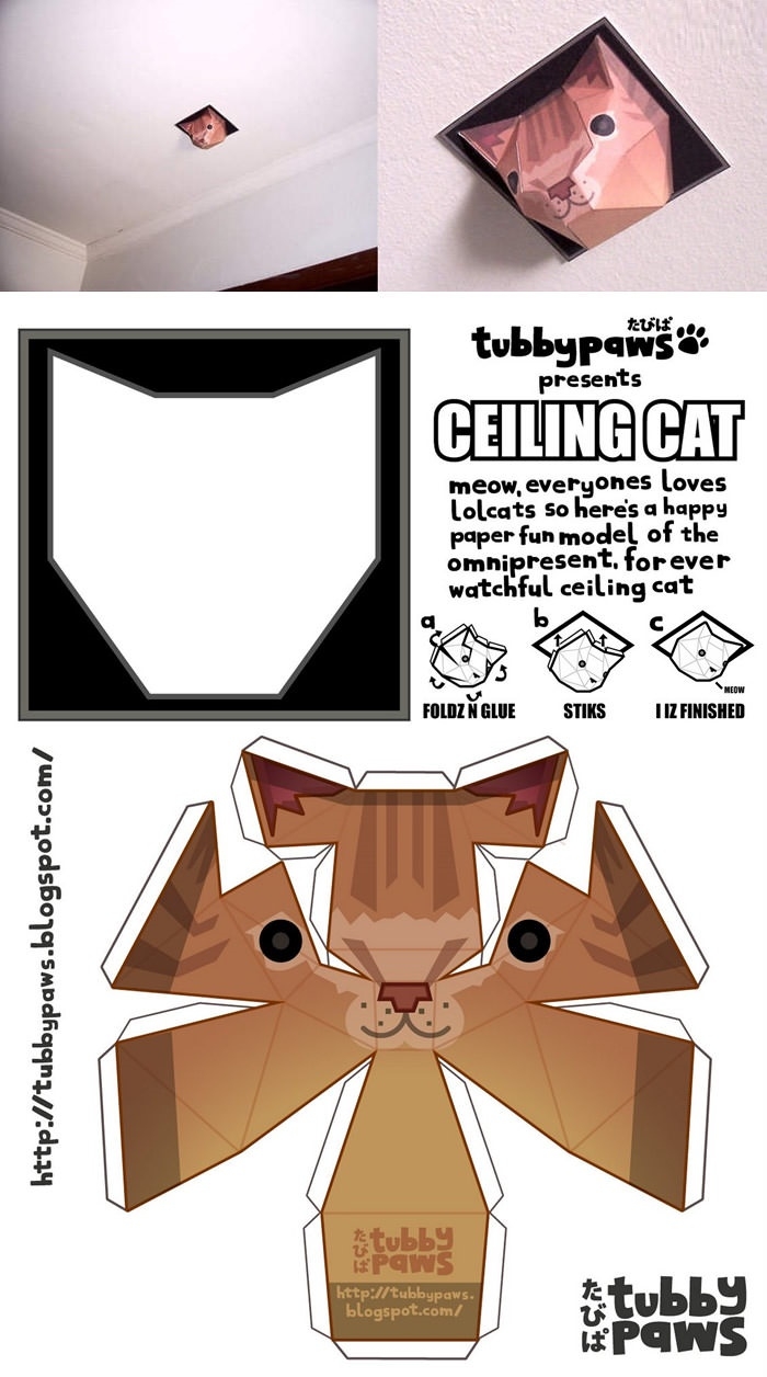 Your very own ceiling cat