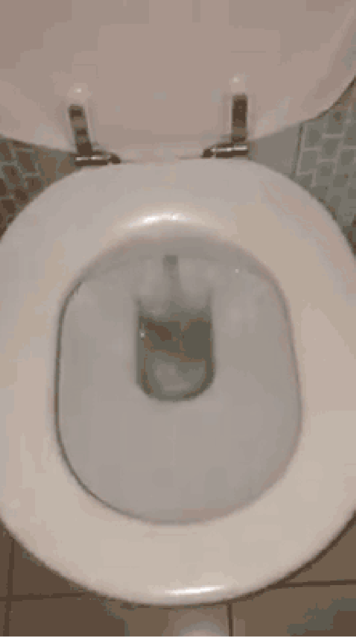 Always flush your toilet