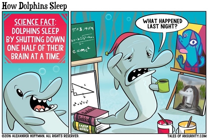 How dolphins sleep