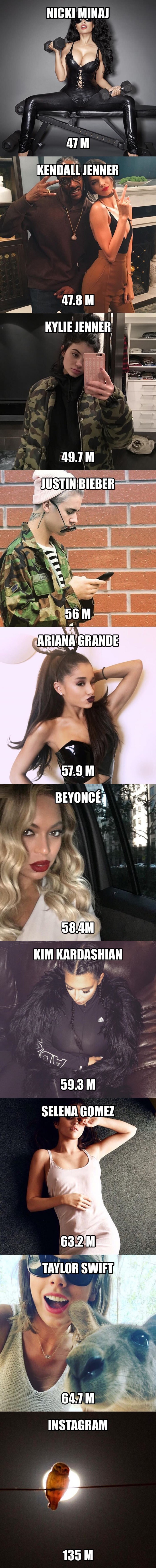 Popular accounts on Insta