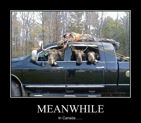 Meanwhile, in Canada
