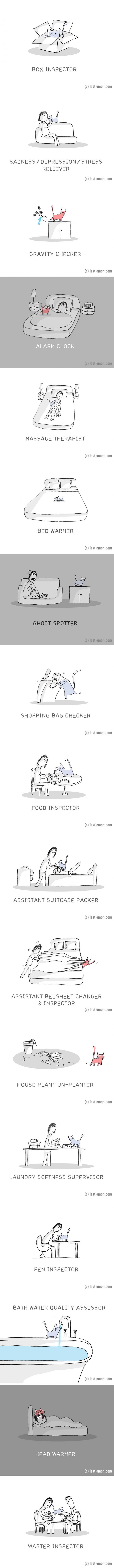Very important cat jobs