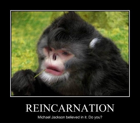 Reincarnation