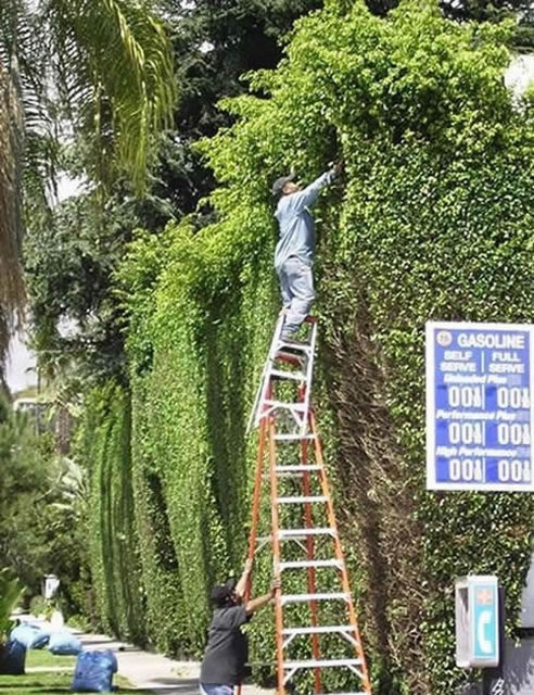 Ladder Stacker