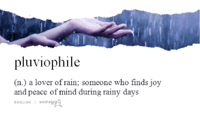 Pluviophile