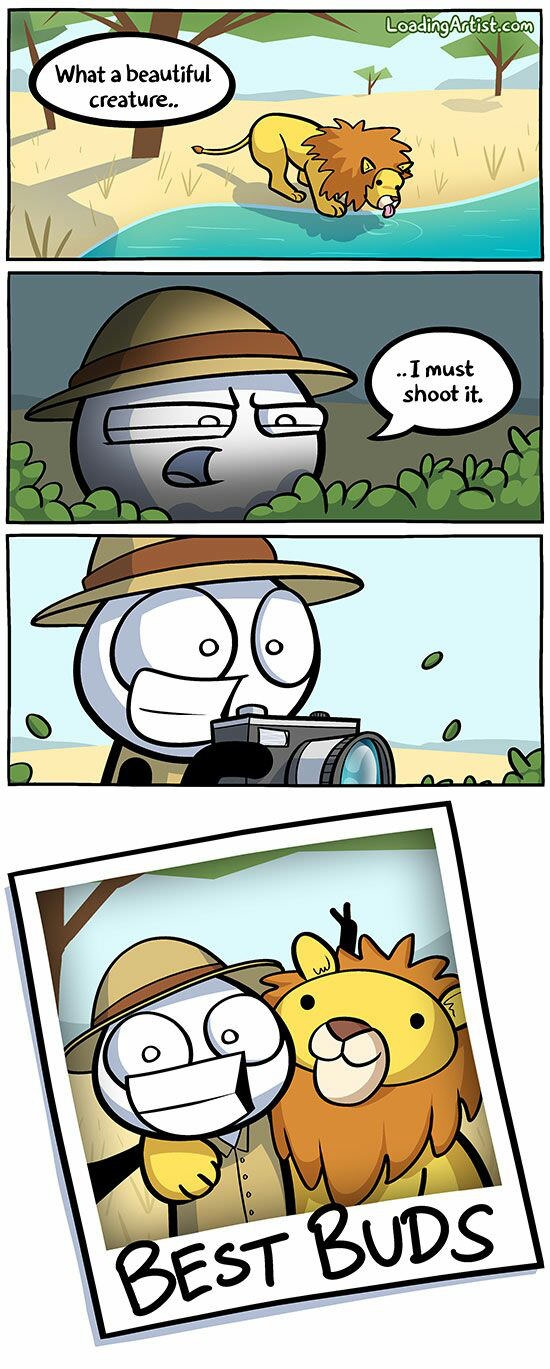 How to shoot animals