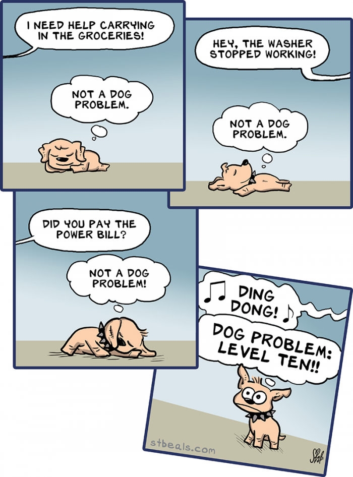 Dog problem