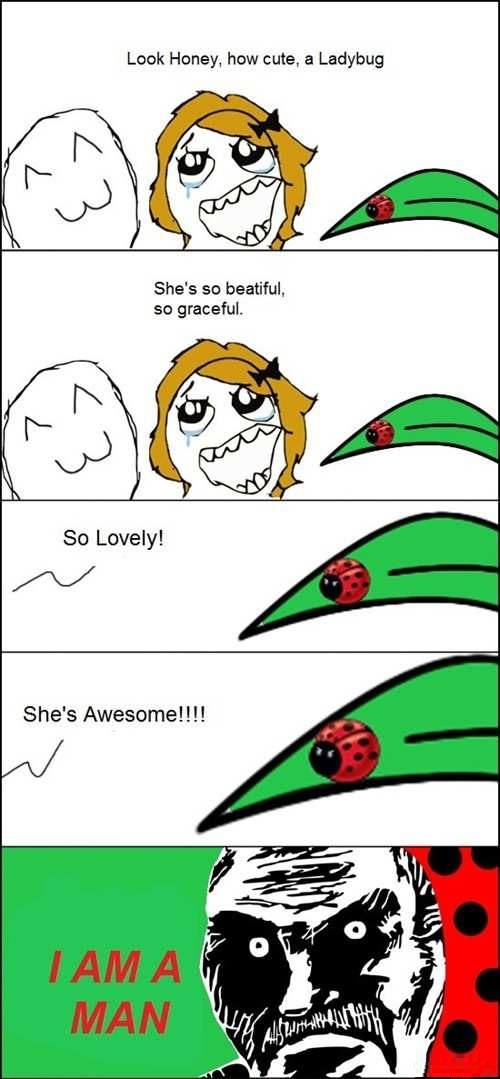What a cute ladybug!