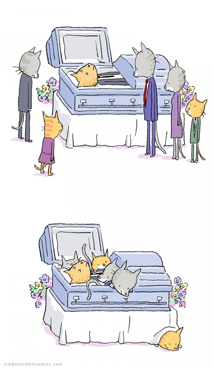 Cat funeral