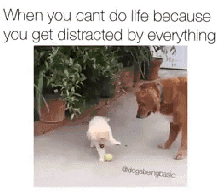My life
