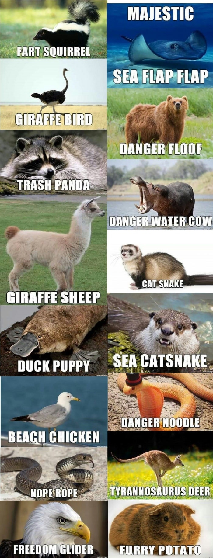 If I had to name animals