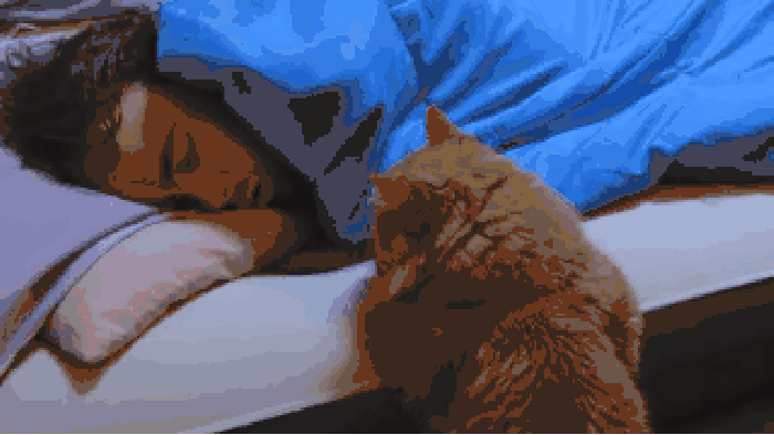 What happened human?