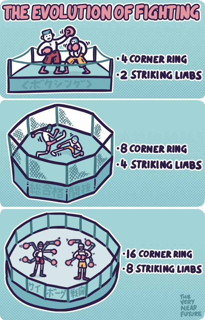 Evolution of fighting