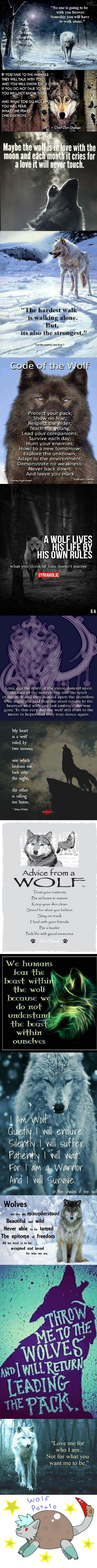 Just wolf things