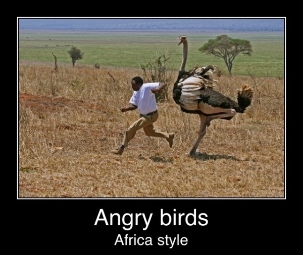Angry Birds