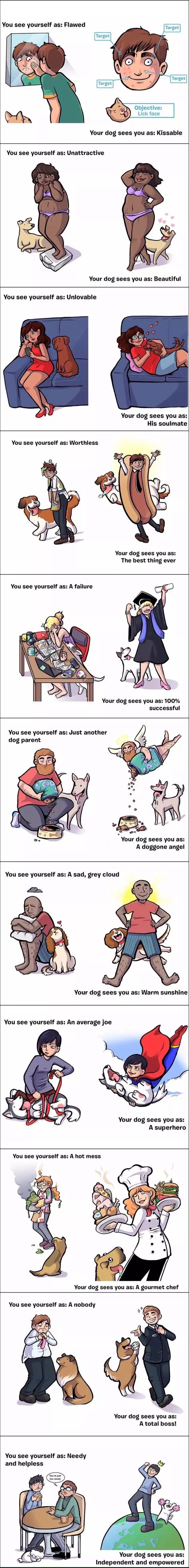 Dogs are wonderful