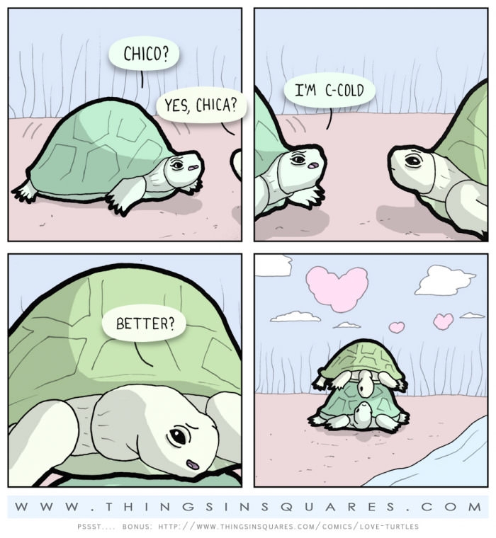 What does love mean?