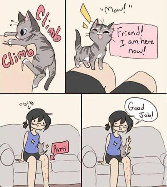 The struggle is real