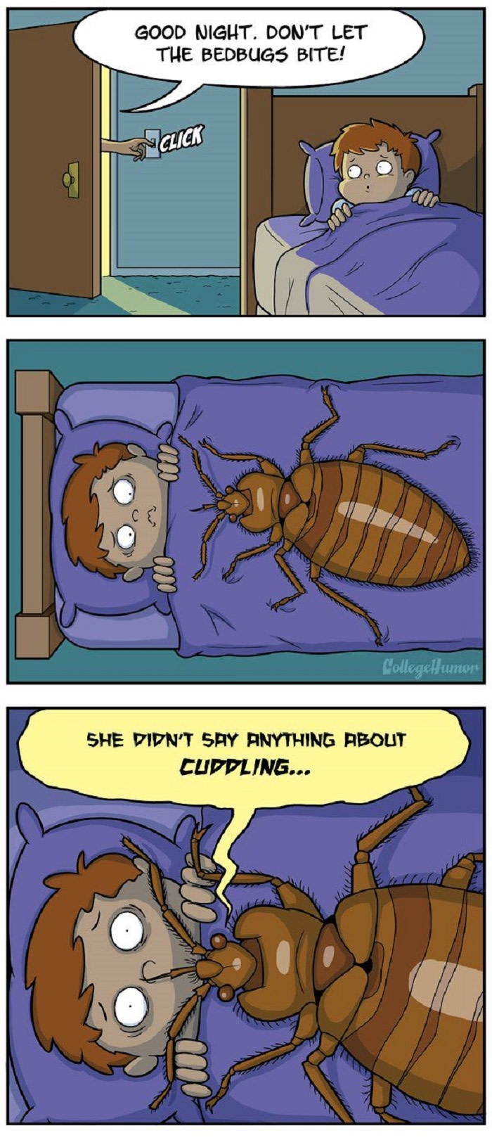 Don't let bed bugs bite