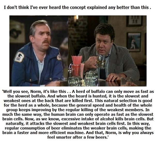 This explains a lot