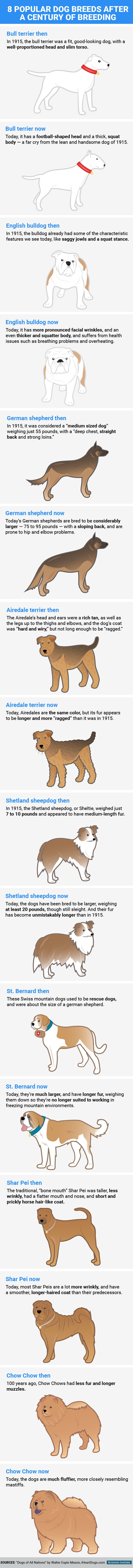 Dog breeds 100 years later