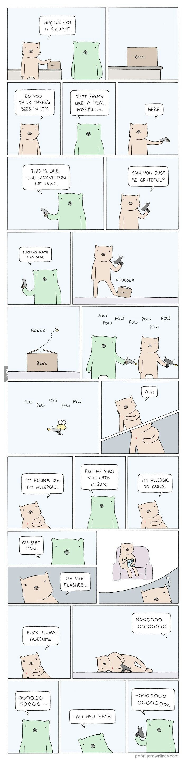 What's going on here?