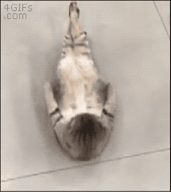 Better than me