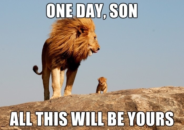 The Lion King on BBC wildlife