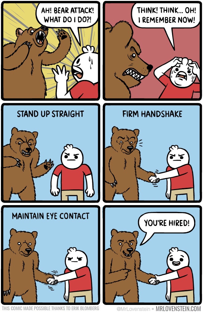 Coping with bear attacks