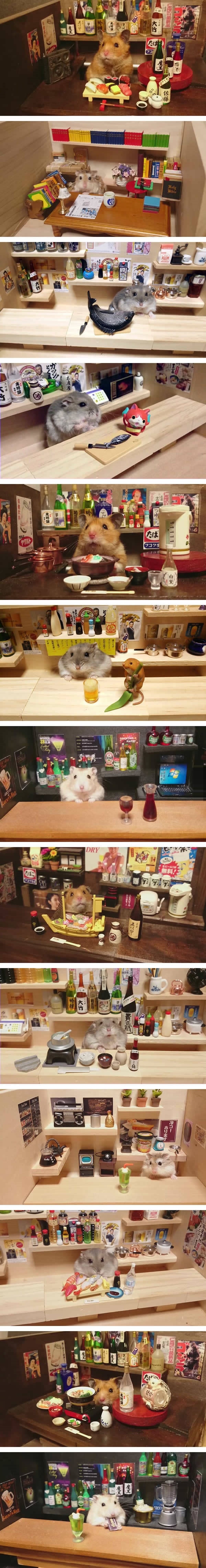 Hamster bartender