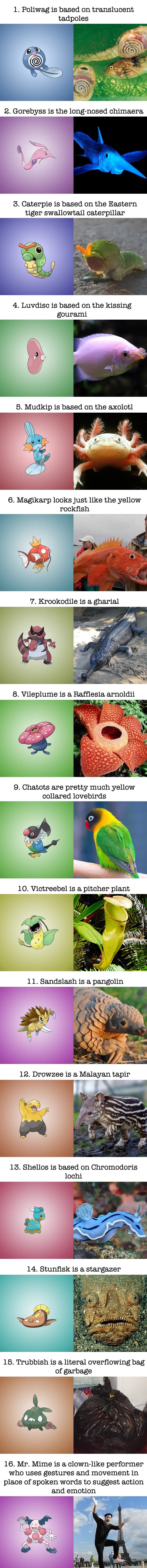 Pokemon based on real beings