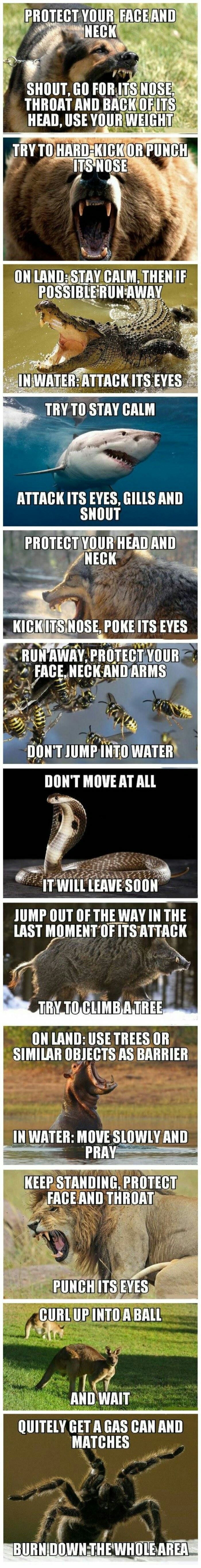 Survival tips