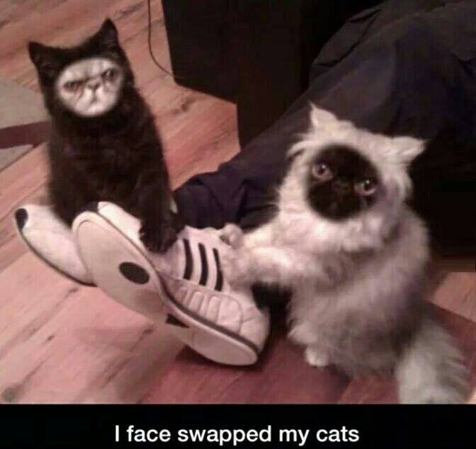 Best face swap ever!