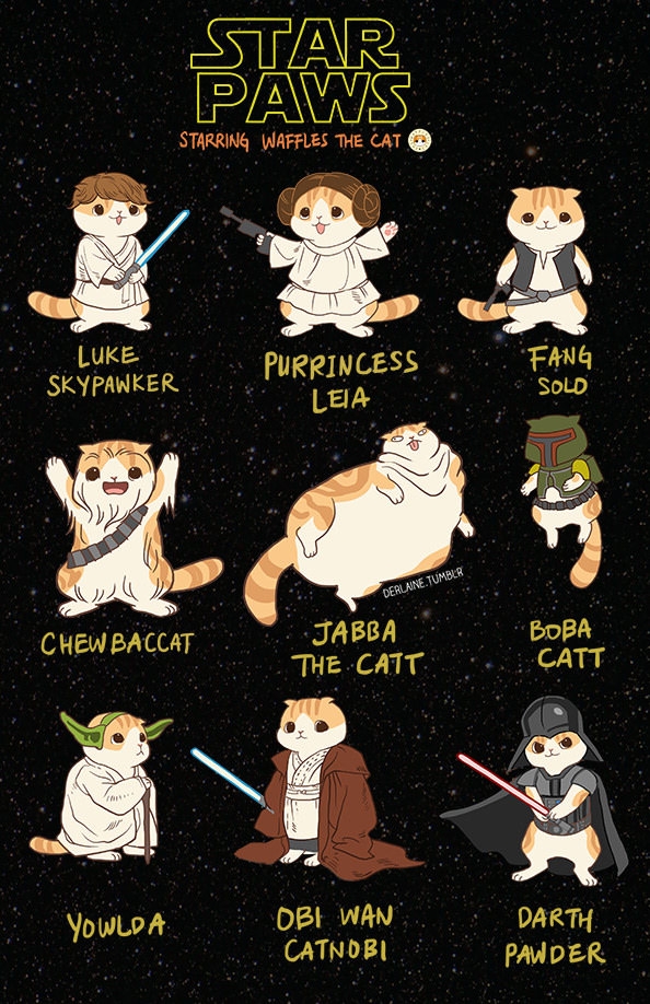 Cat Wars