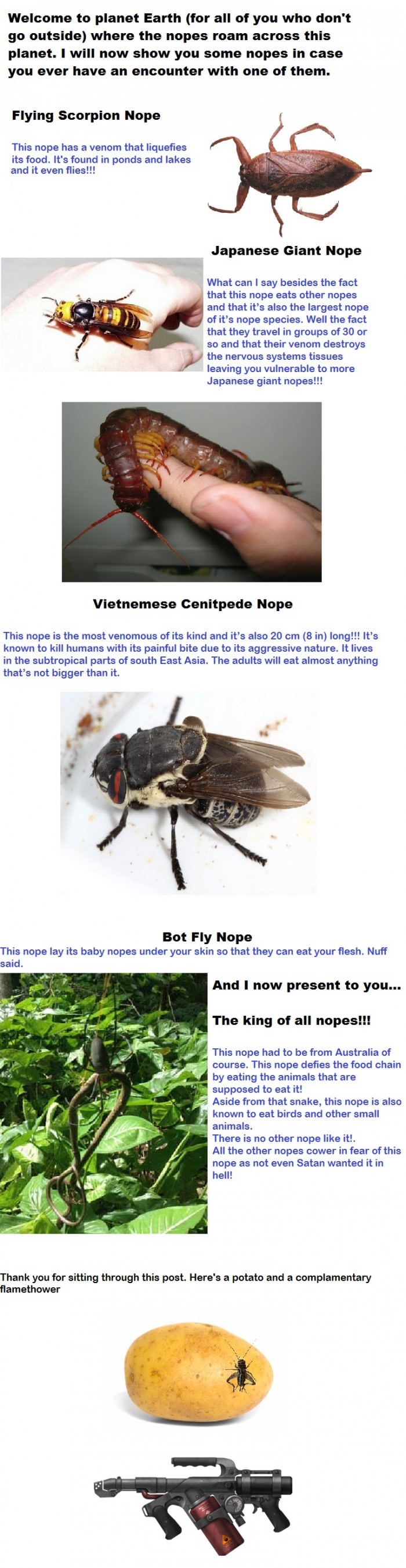 Nopepedia of nopes