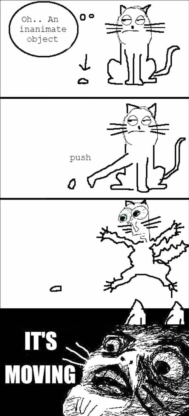 Cat logic