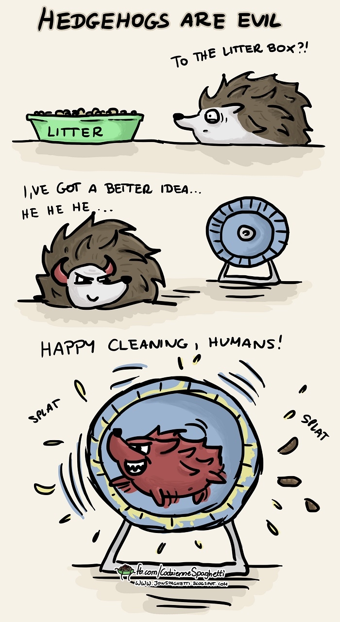 Hedgehogs are evil