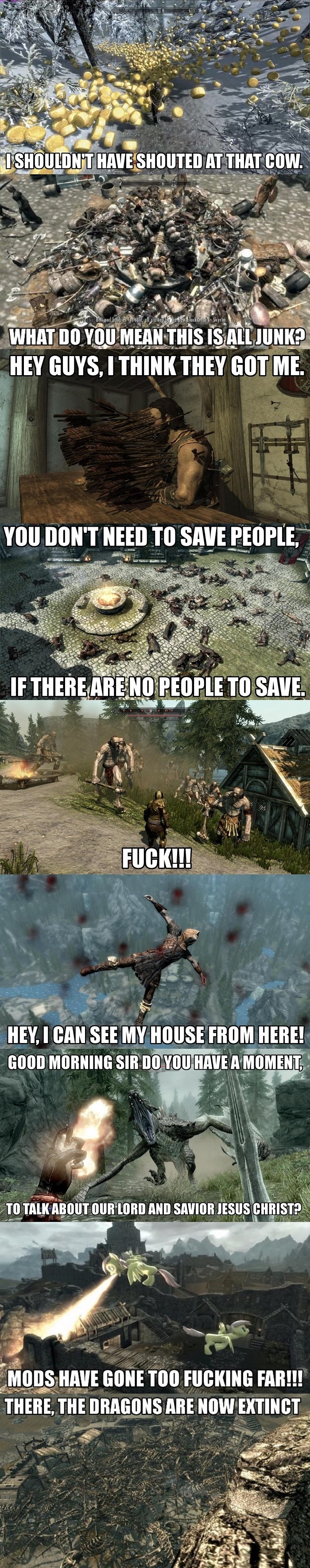 Oh Skyrim, you silly game