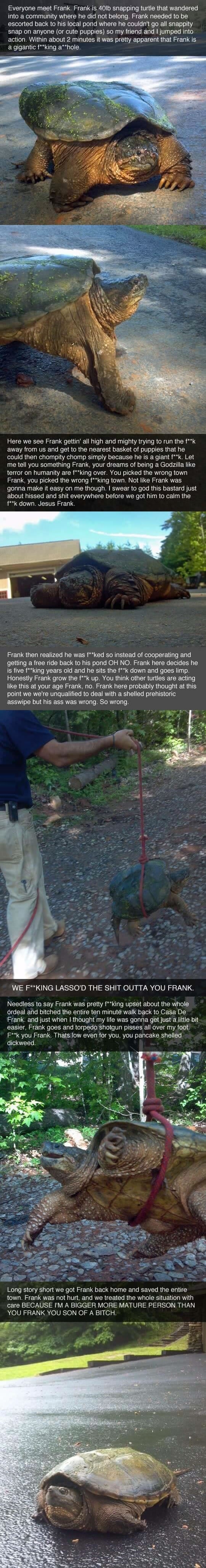 Adventures of Frank the Snapping Turtle