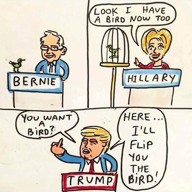 Bernie vs Hillary vs Trump on birds