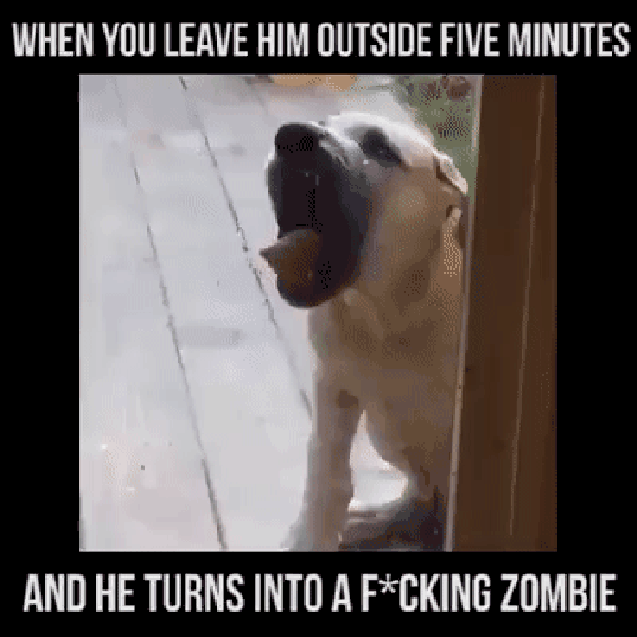 It was just 5 minutes