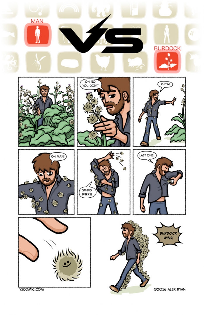 Man vs burdock