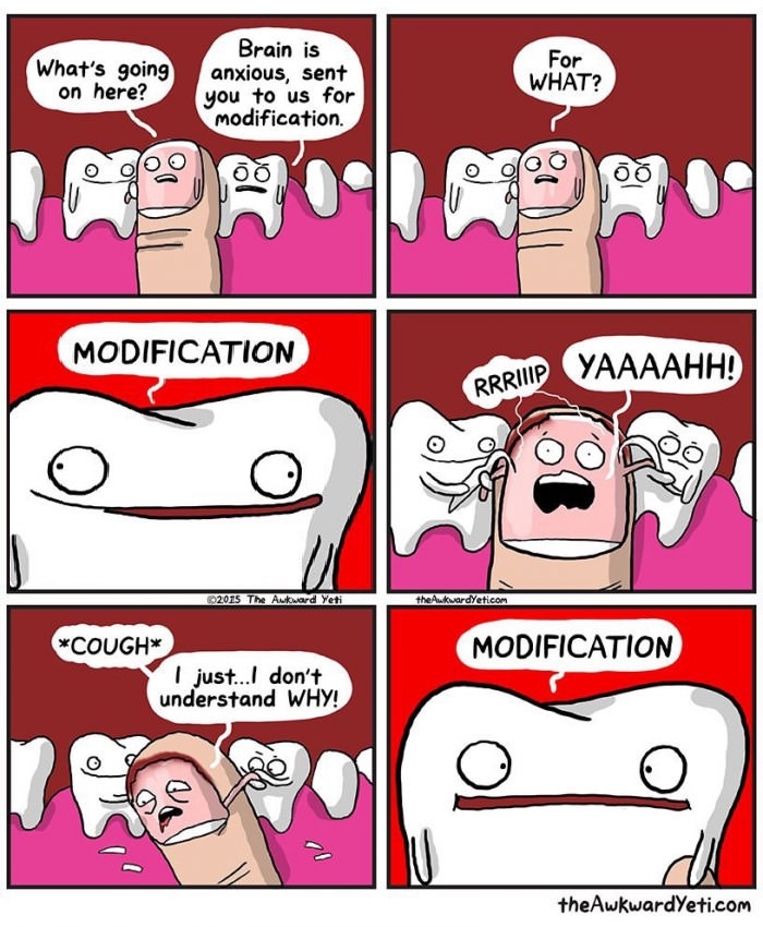 Modification
