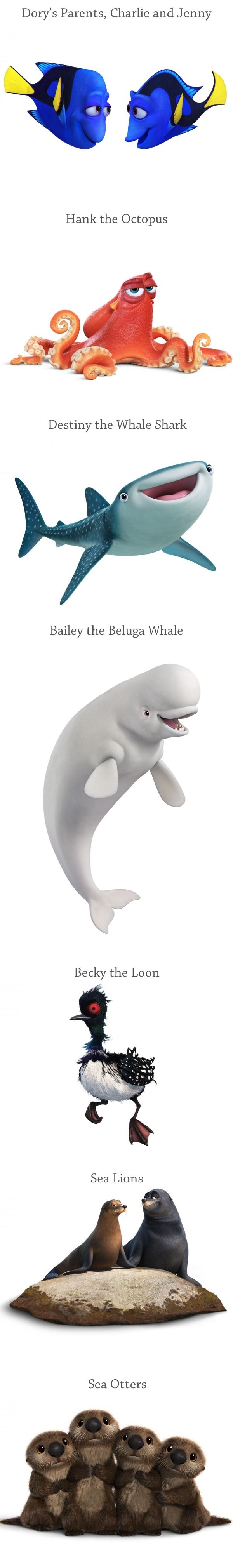 Finding Dory new characters