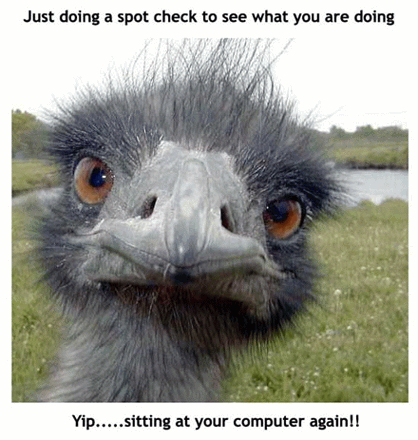 Hey You