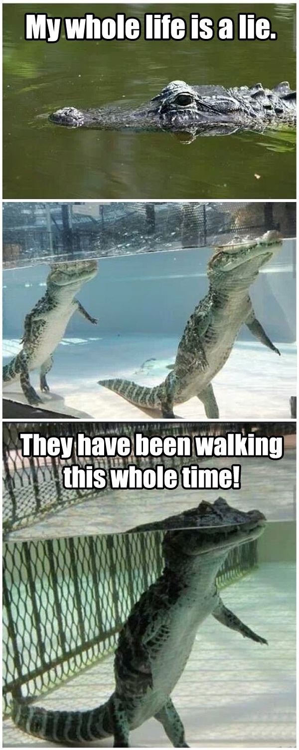 Mind blown
