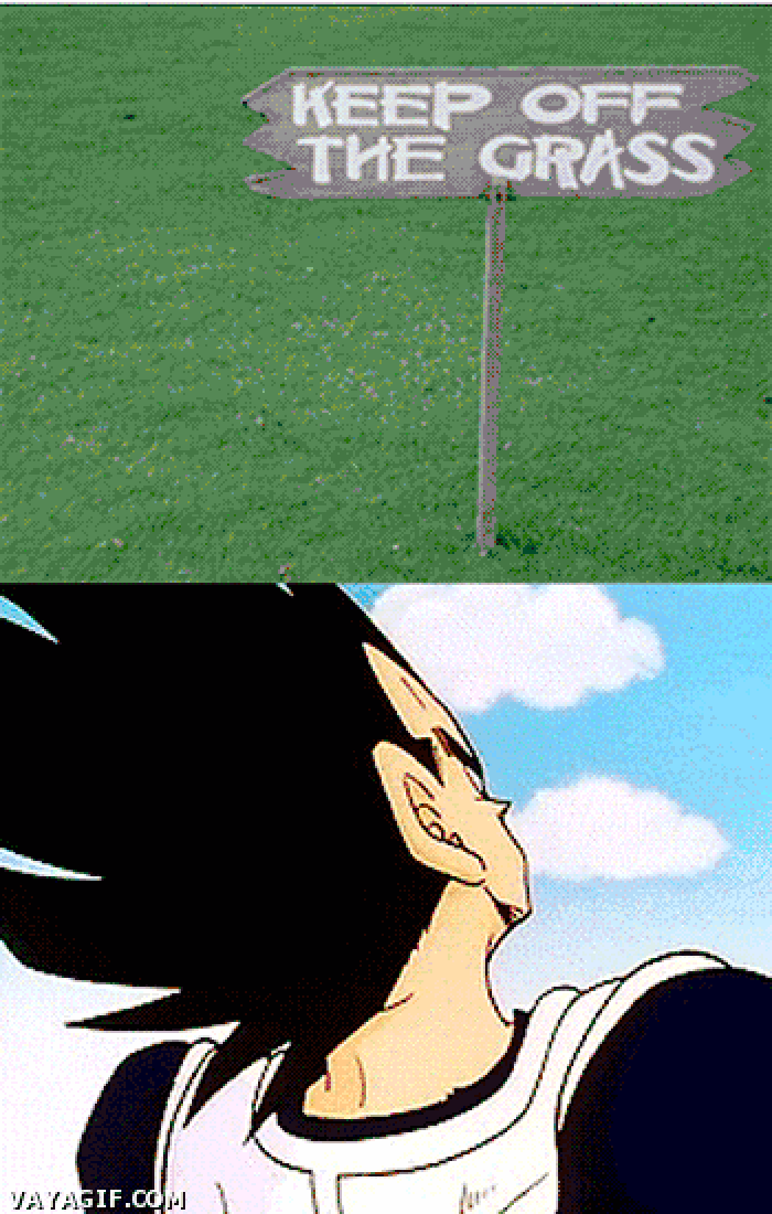 It's over 9000!