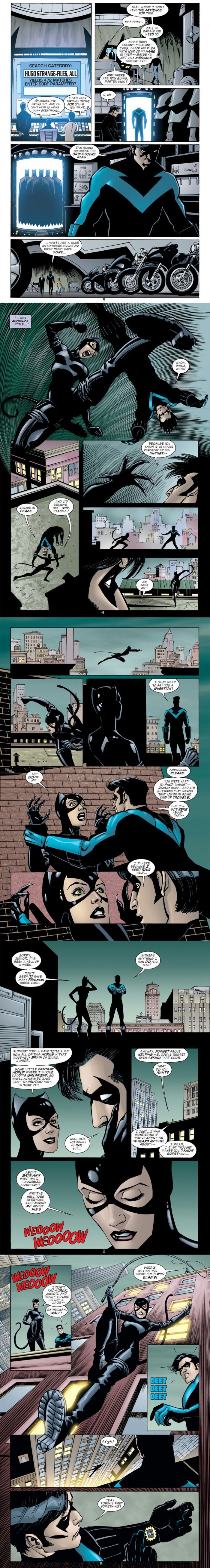Catwoman & Nightwing