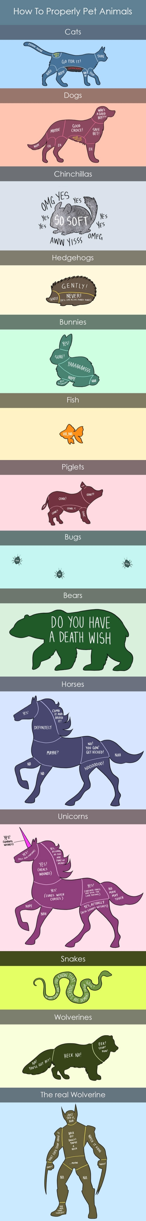 How to pet animals